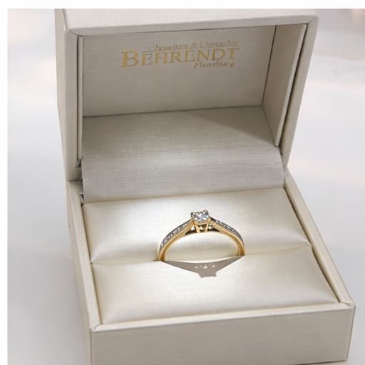 Der Elegante Ansicht 1