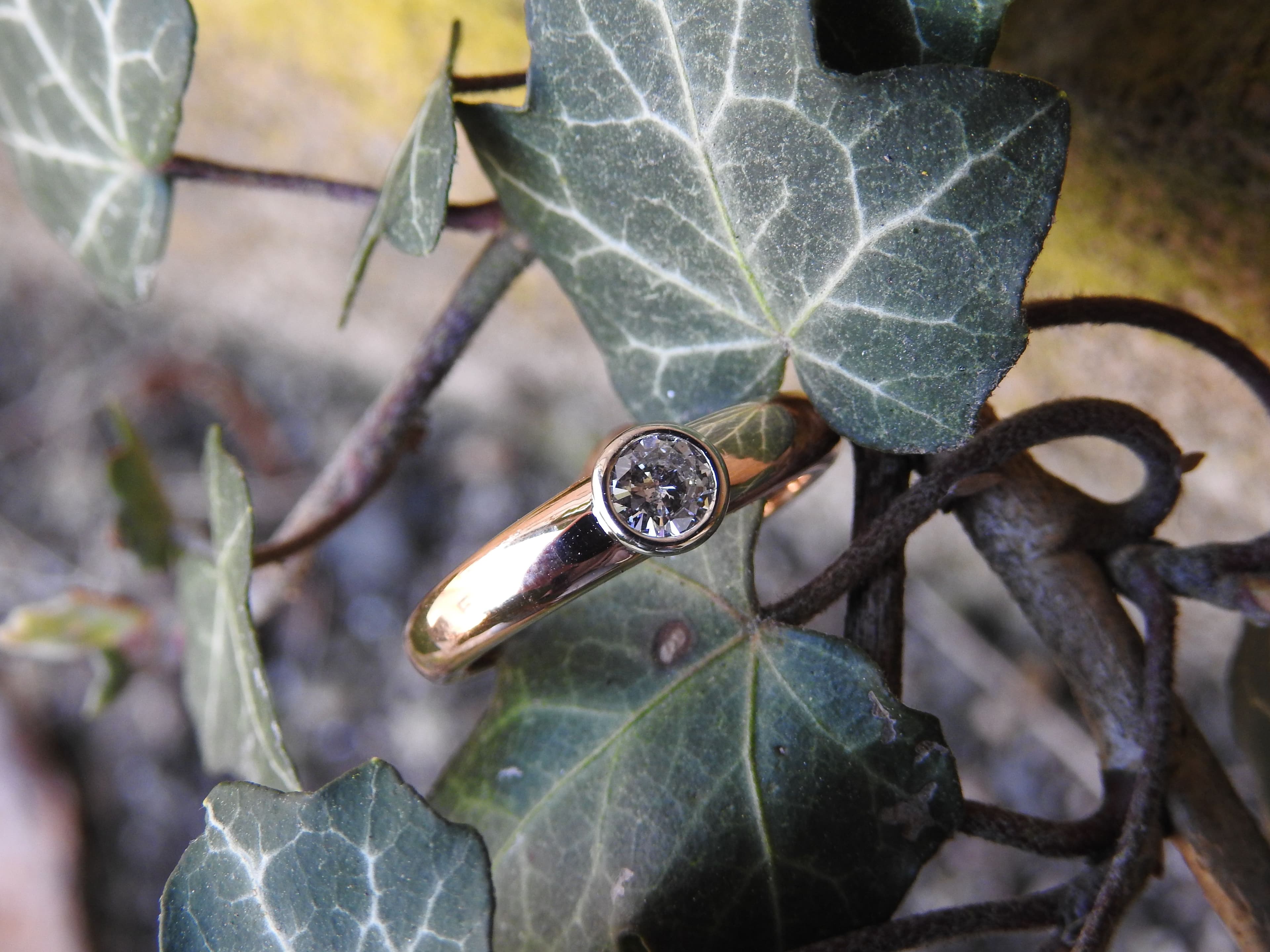 Eleganz in Gelbgold – Kurz Collection