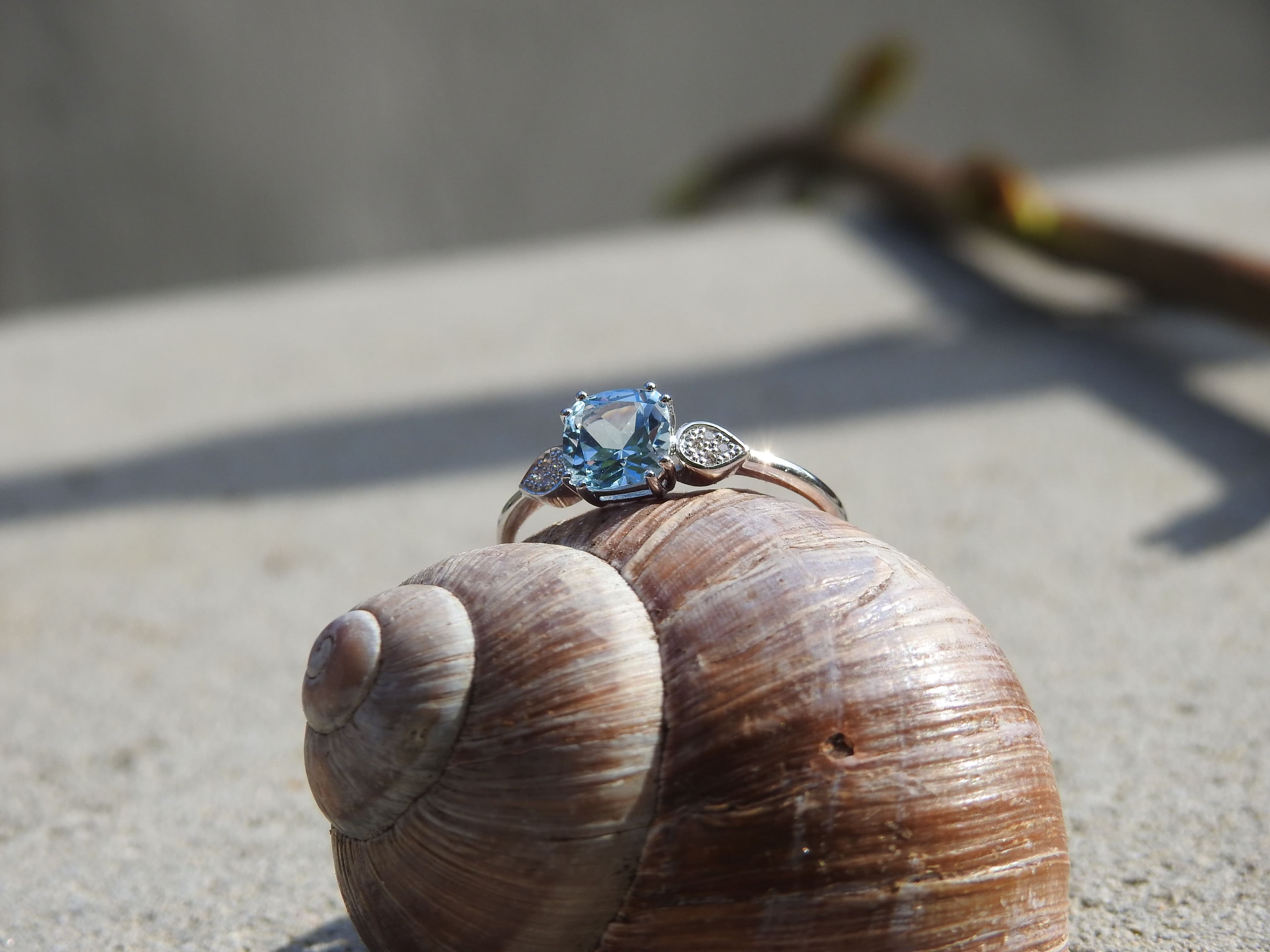 Klang des Meeres – Kurz Collection
