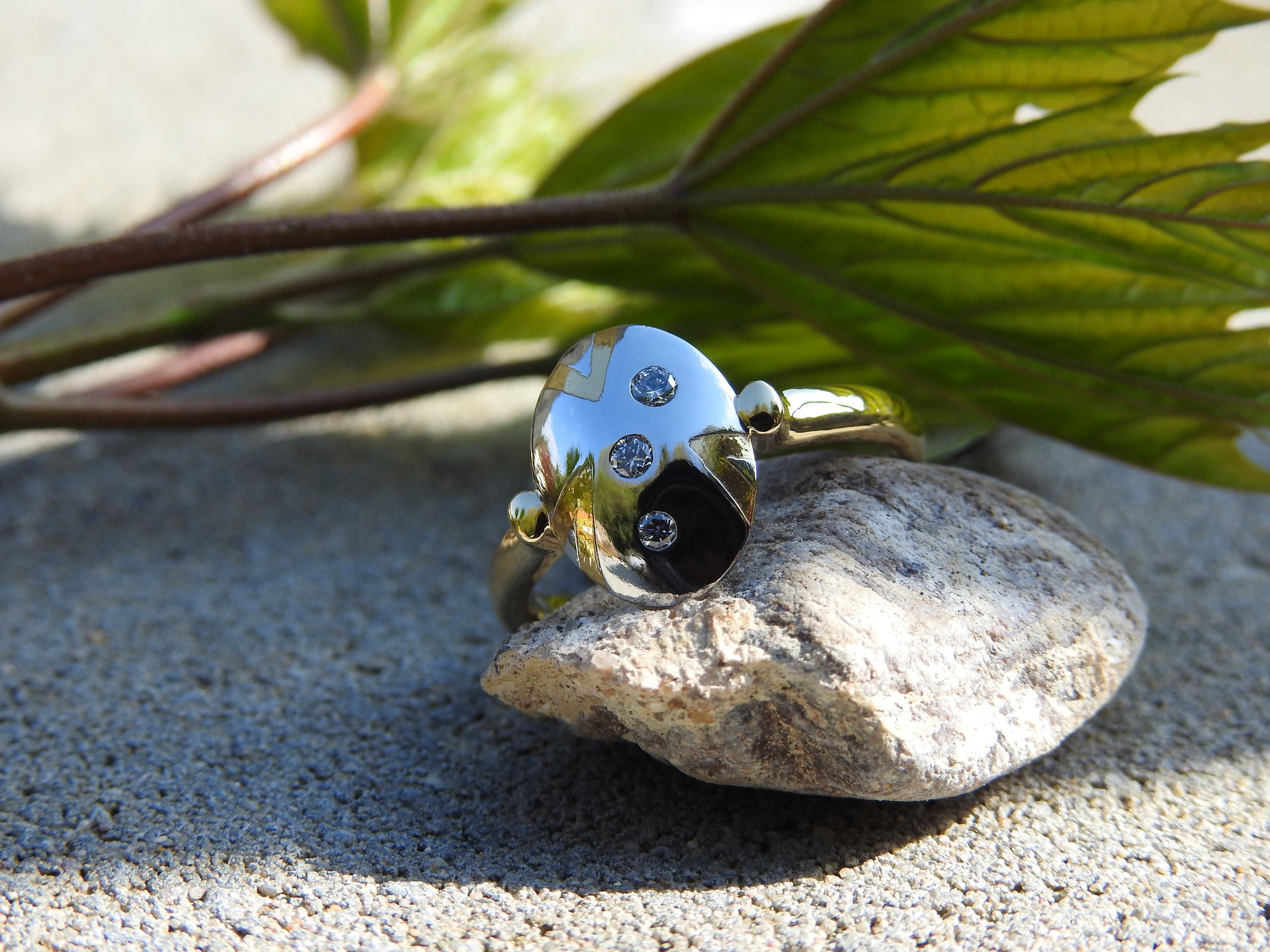 Exklusiver Designring – Kurz Collection