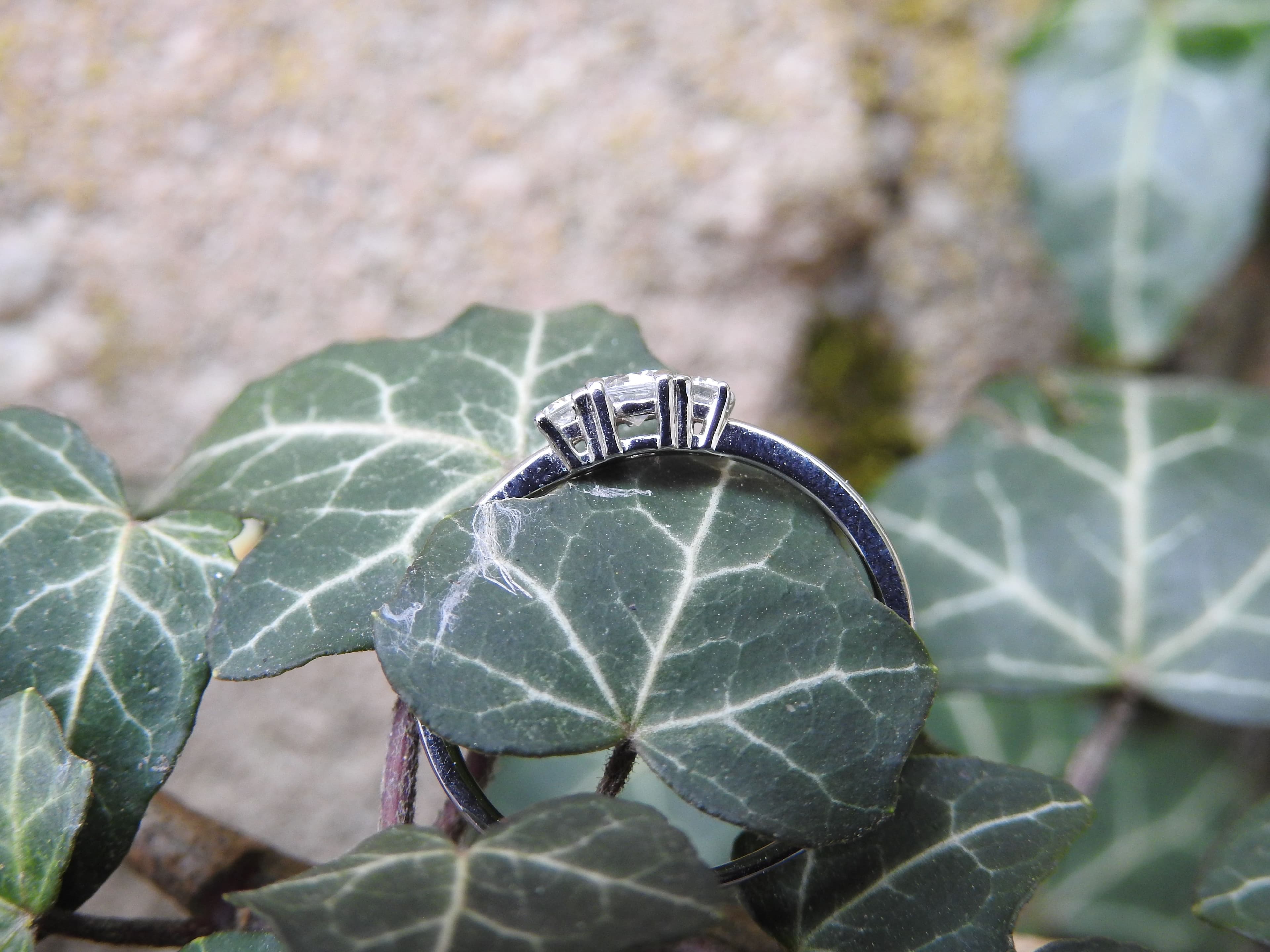 Verlobungsring mit Halo-Effekt von Juwelier Erwin Kurz