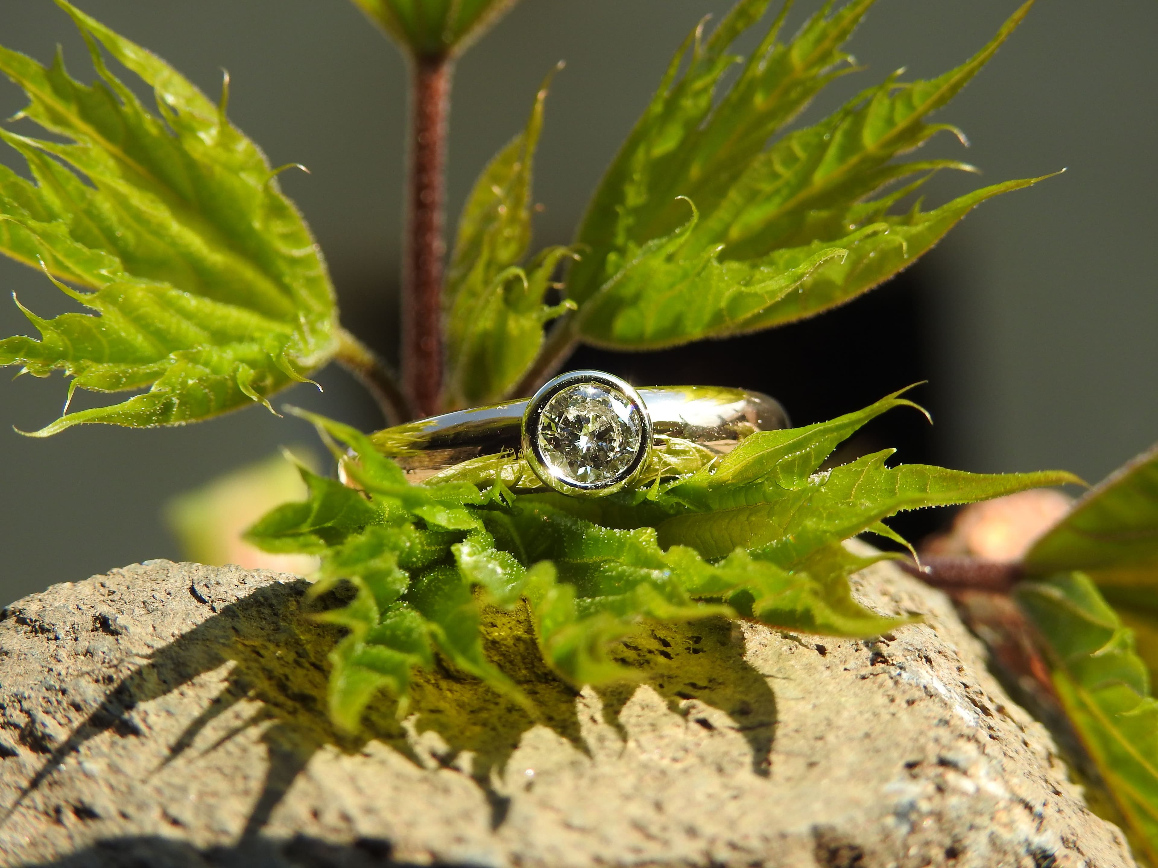 Verlobungsring in Weißgold von Juwelier Erwin Kurz