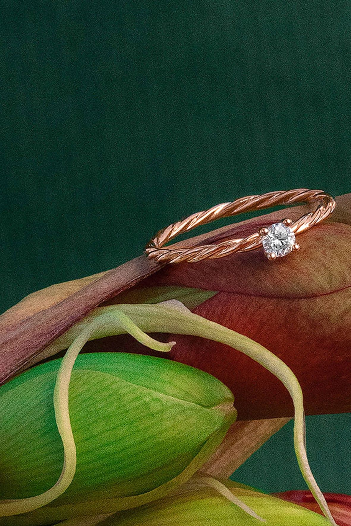 Verlobungsring mit 4-Krappen-Fassung in Rotgold. von Juwelier Hennig